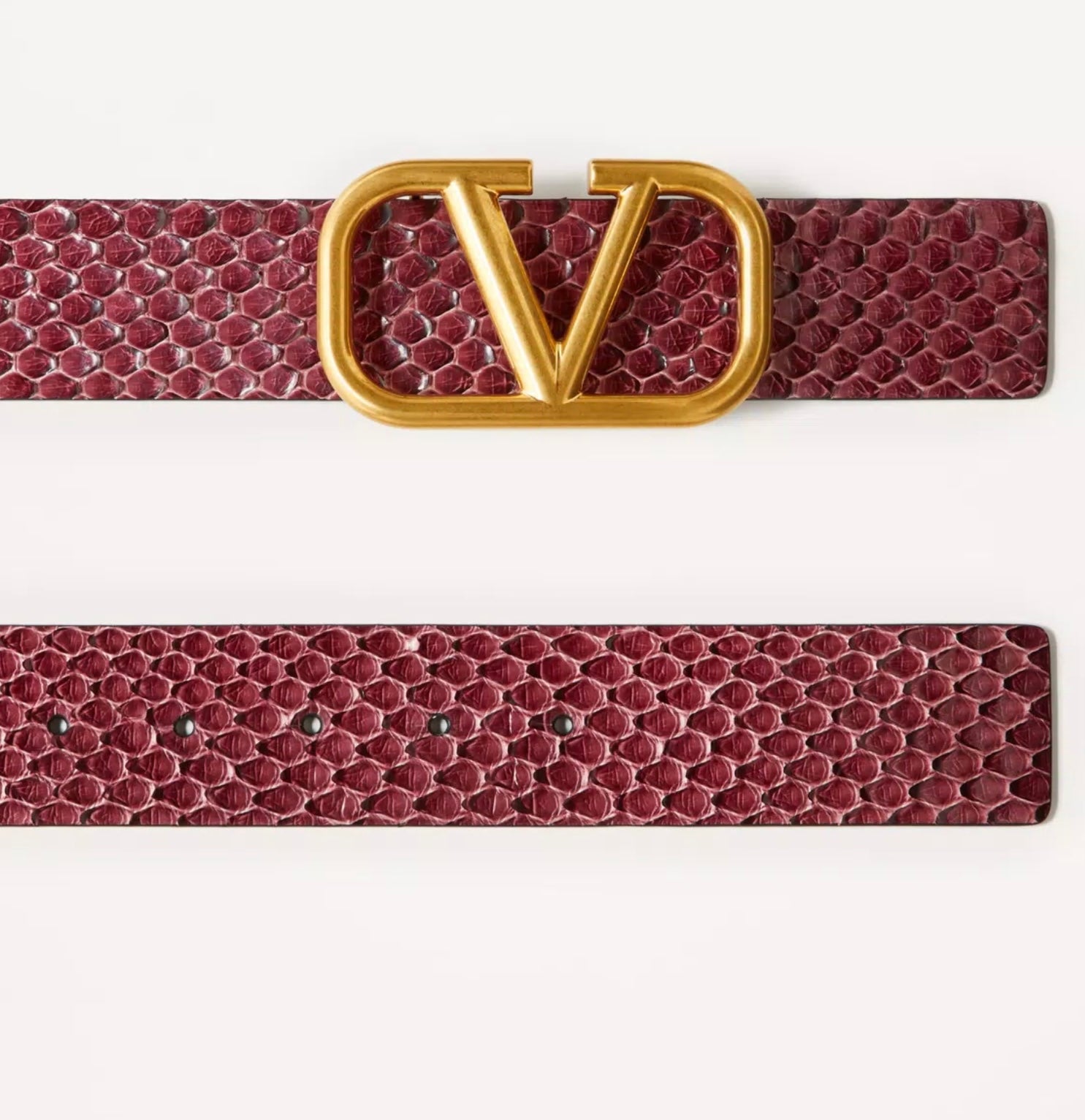 Valentino Vlogo Signature Python Belt 40mm