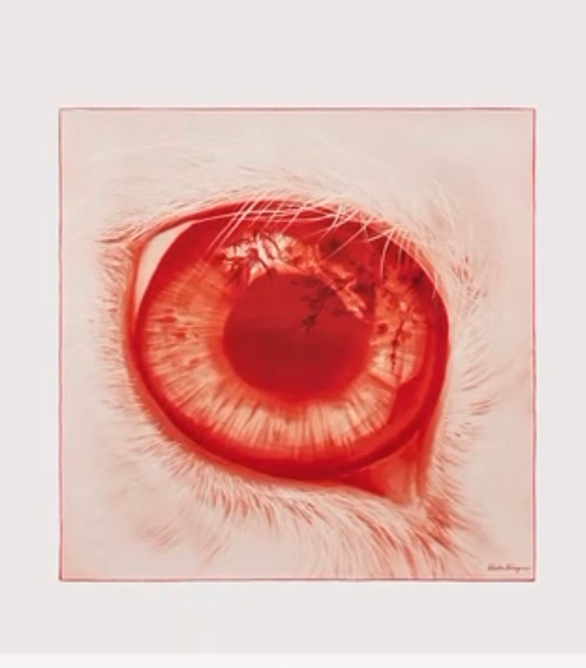 Ferragamo Eye Print Silk Scarf