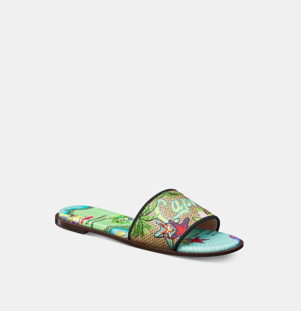 Dior Souvenir Dway Slides