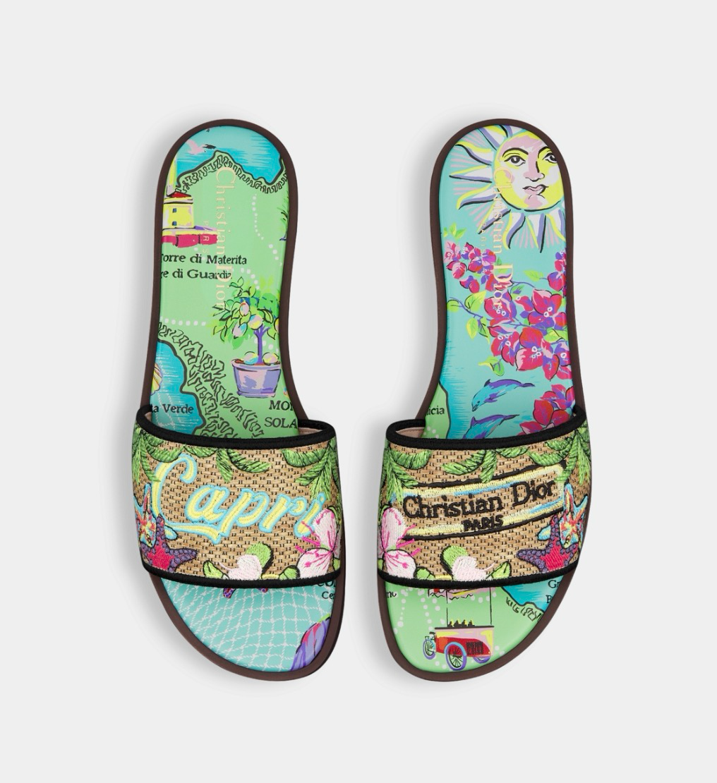 Dior Souvenir Dway Slides