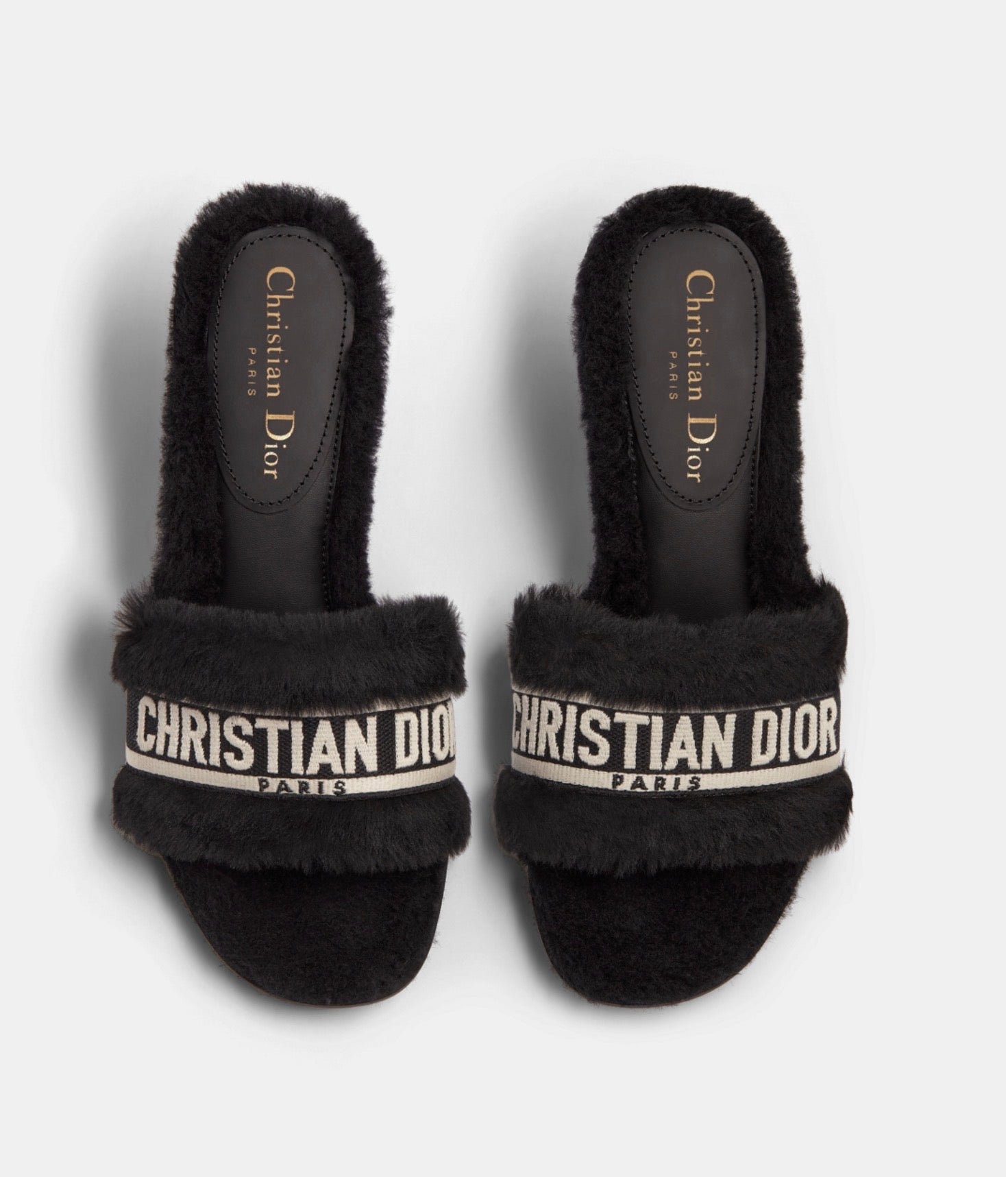 Dior Dway Heeled Slide Sandals