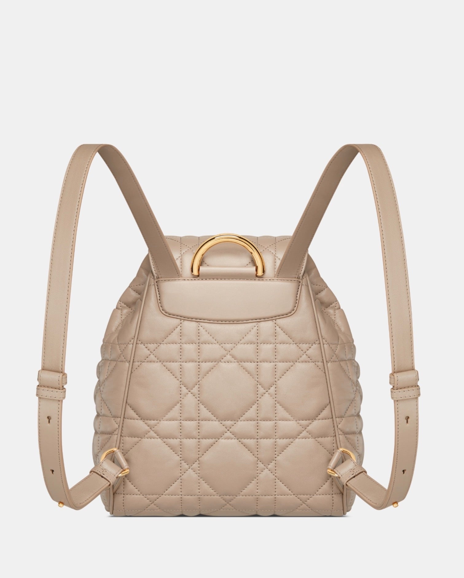 Dior Caro Medium Backpack