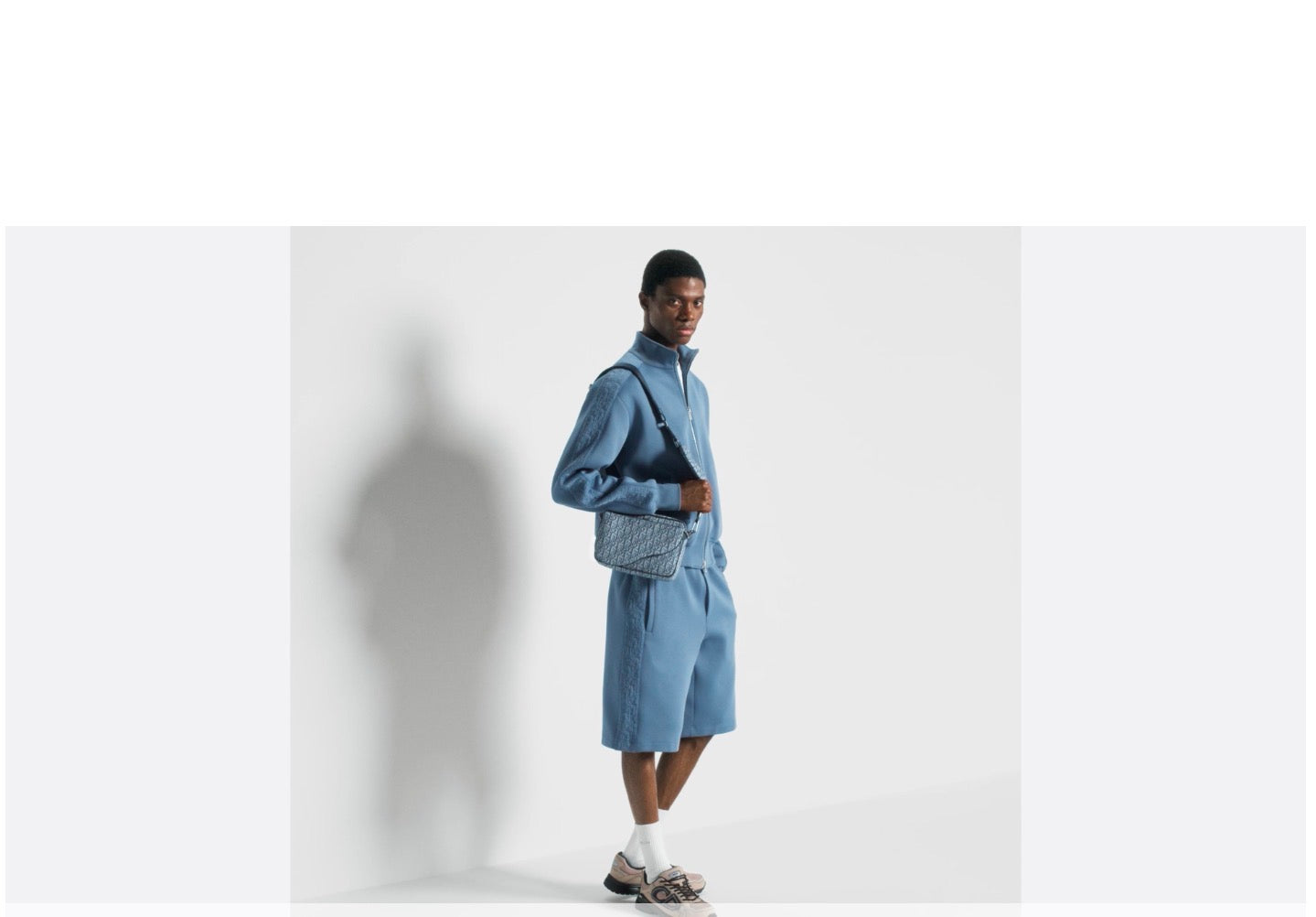 Dior Saddle Triple Bag